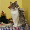 Отзыв от Фаина Дегтярева